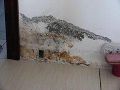 各種家庭疑難漏水維修