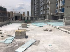成功案例