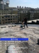 成功案例
