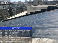成功案例